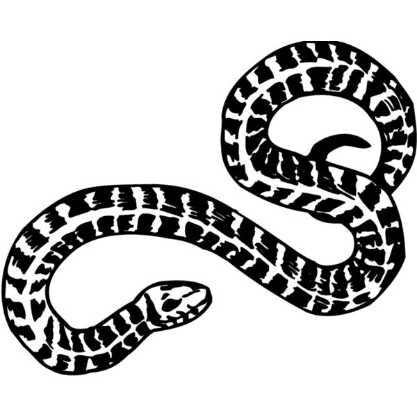 SNAKE009 Thumbnail