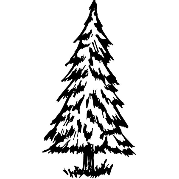 TREE0011 Thumbnail