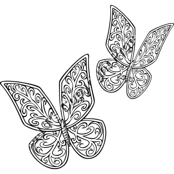 ESbutterfly005bw Thumbnail