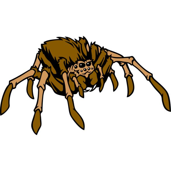 ESspider001clr Thumbnail