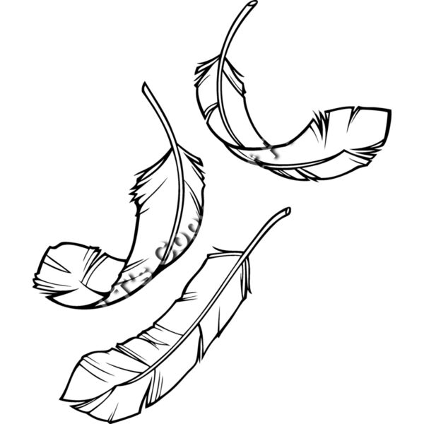 ESfeathers001bw Thumbnail