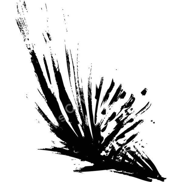 ESsplat016bw Thumbnail