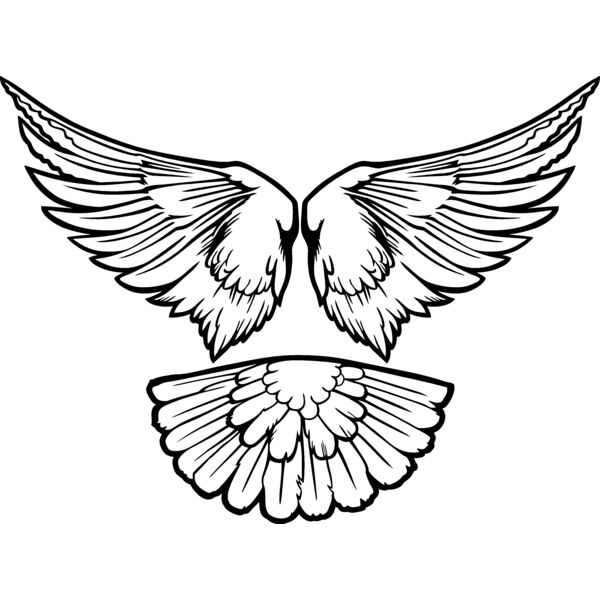 ESwings015bw Thumbnail