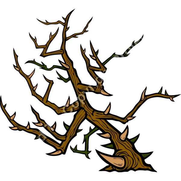 ESthorns006clr Thumbnail