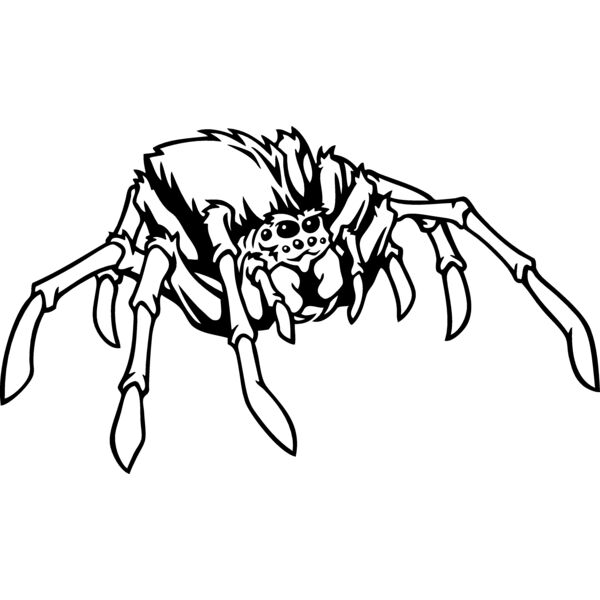 ESspider001bw Thumbnail