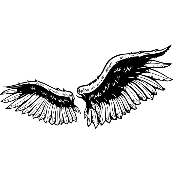 ESWings030BW Thumbnail