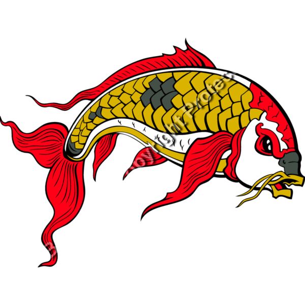 ES2asiankoi008clr Thumbnail