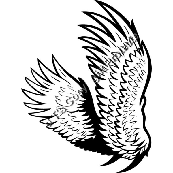 ES2wings017BW Thumbnail