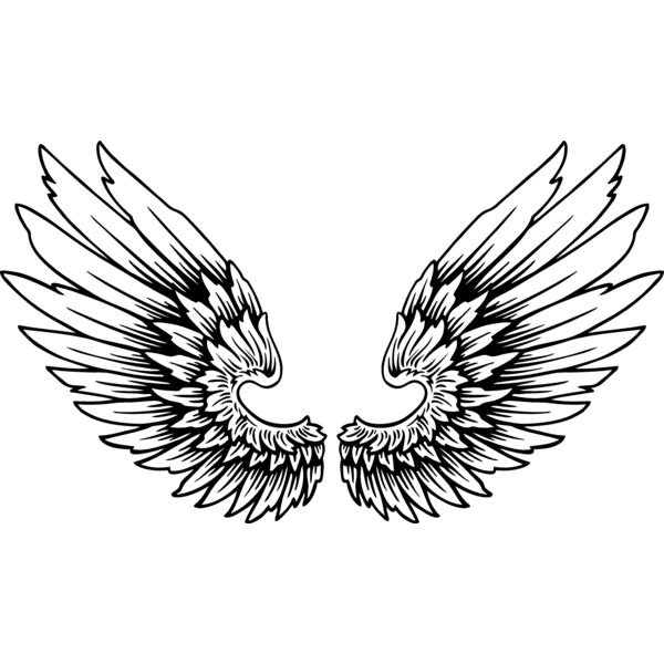 ES2wings011BW Thumbnail