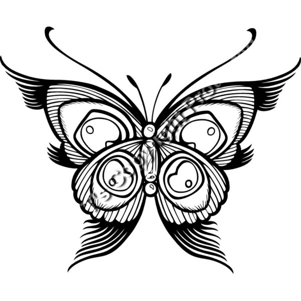 ES2butterfly001bw Thumbnail