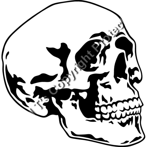ES2skull016BW Thumbnail