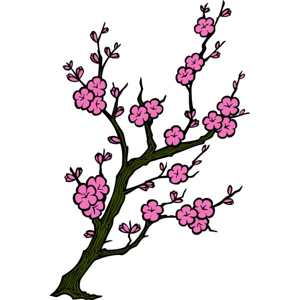 ES2cherryblsm001clr Thumbnail