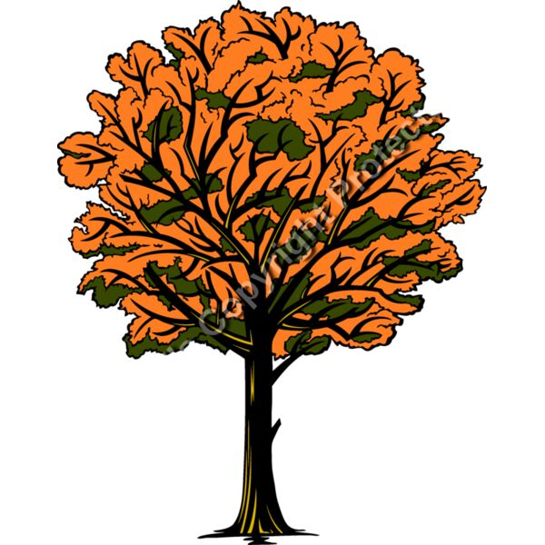 ES2tree005clr Thumbnail