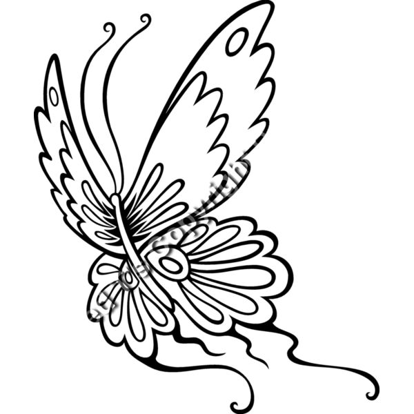 ES2butterfly006bw Thumbnail