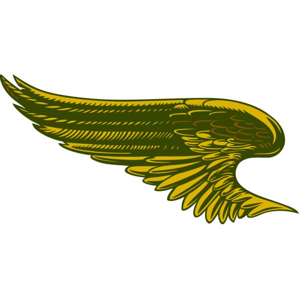 ES2wings027clr Thumbnail