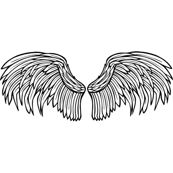 ES2wings028bw Thumbnail