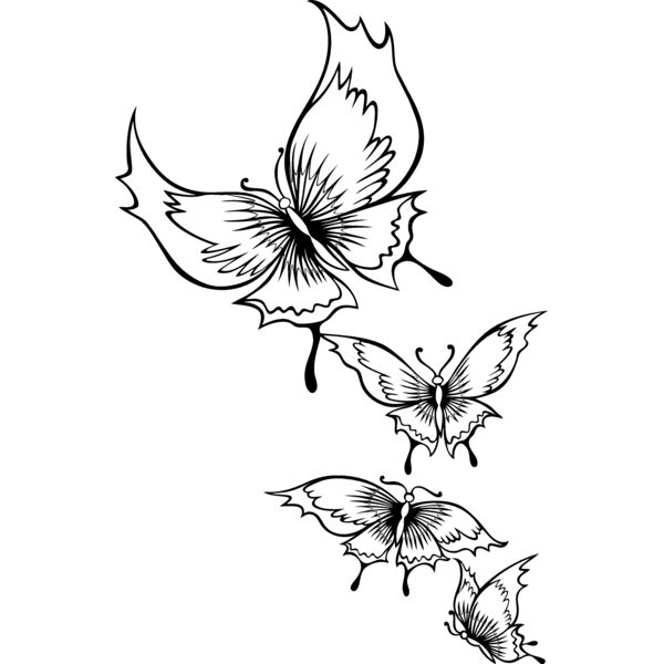 ES2butterfly004bw Thumbnail