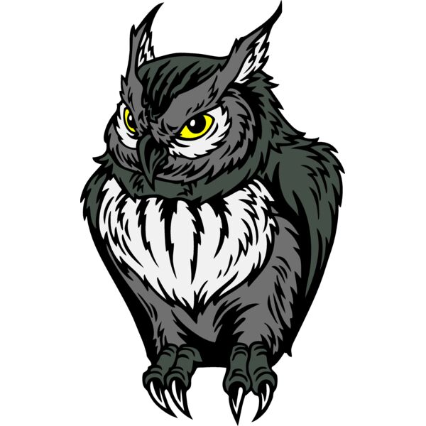 ES2owl003CLR Thumbnail