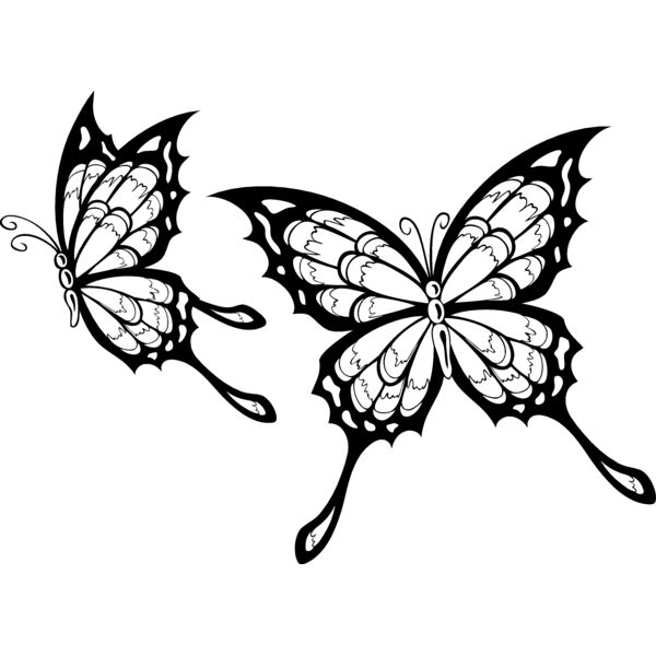 ES2butterfly002bw Thumbnail