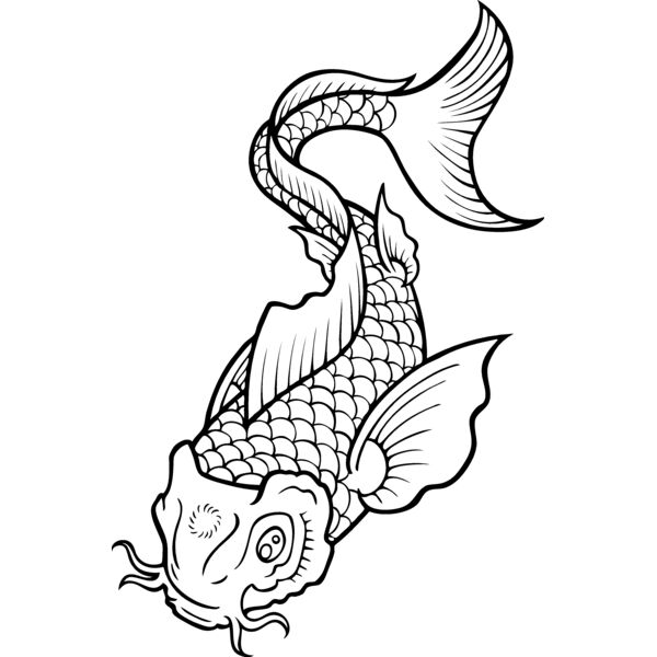 ES2asiankoi006bw Thumbnail