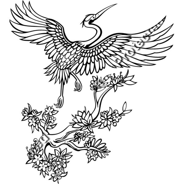 ES2crane002bw Thumbnail