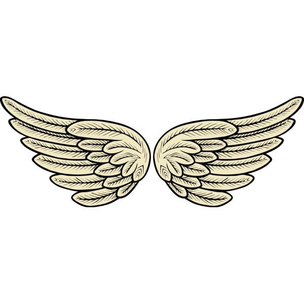 ES2wings002clr Thumbnail