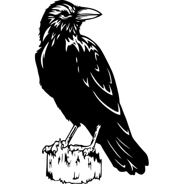 ES2raven003bw Thumbnail