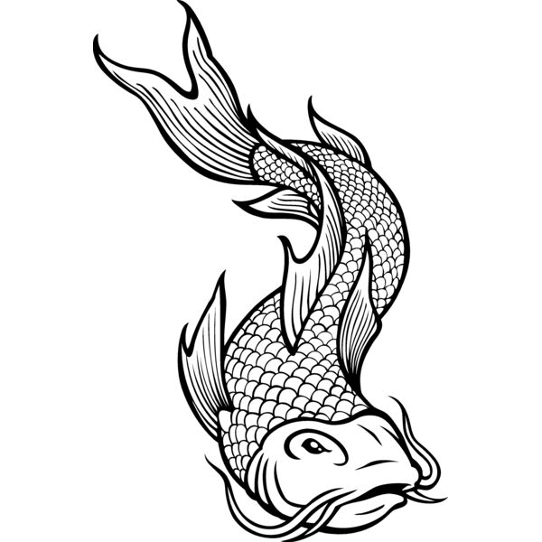 ES2asiankoi002bw Thumbnail