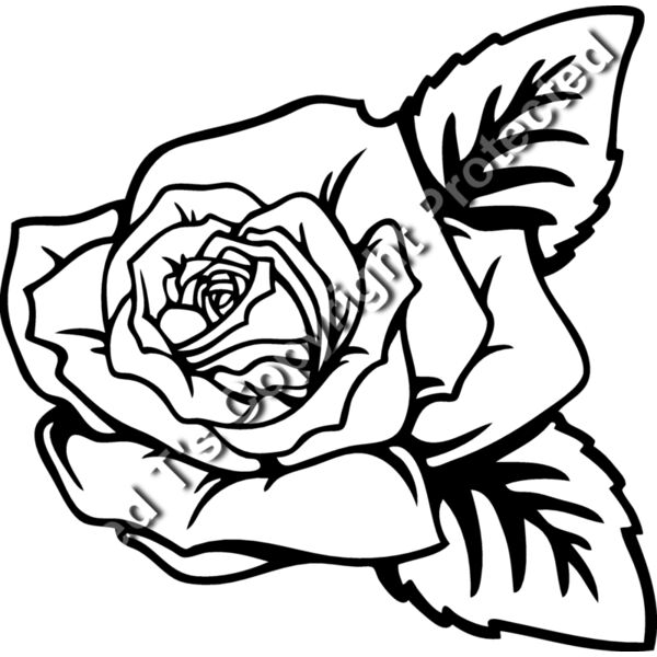 ES2rose002BW Thumbnail