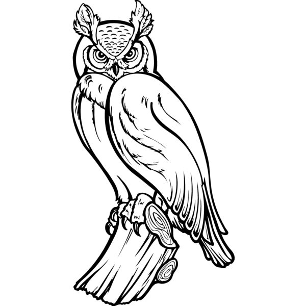 ES2owl002bw Thumbnail