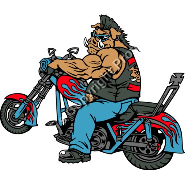 ES2hog004CLR Thumbnail