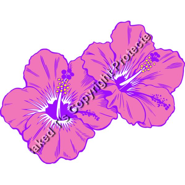 ES3tropical02clr Thumbnail