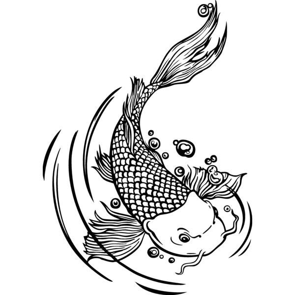 ES3asiankoi01bw Thumbnail