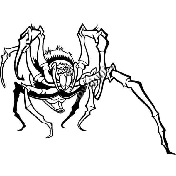 ES3spider05BW Thumbnail