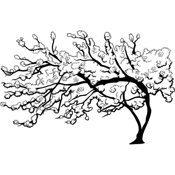 ES3cherryblsm01bw Thumbnail