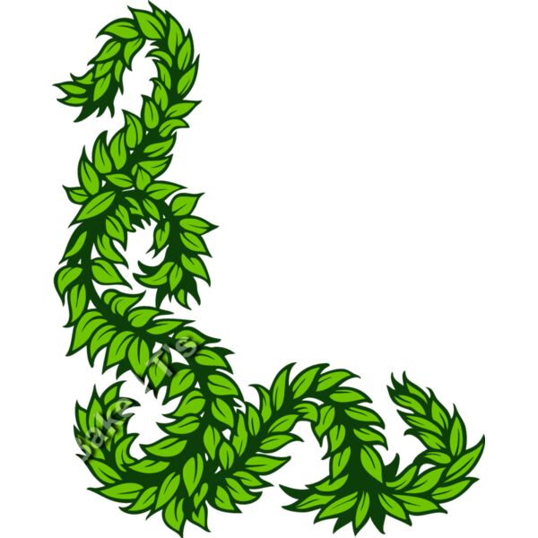 ES3leaves06clr Thumbnail