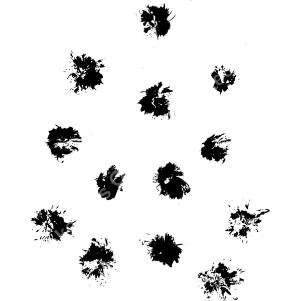 ES3splat01bw Thumbnail