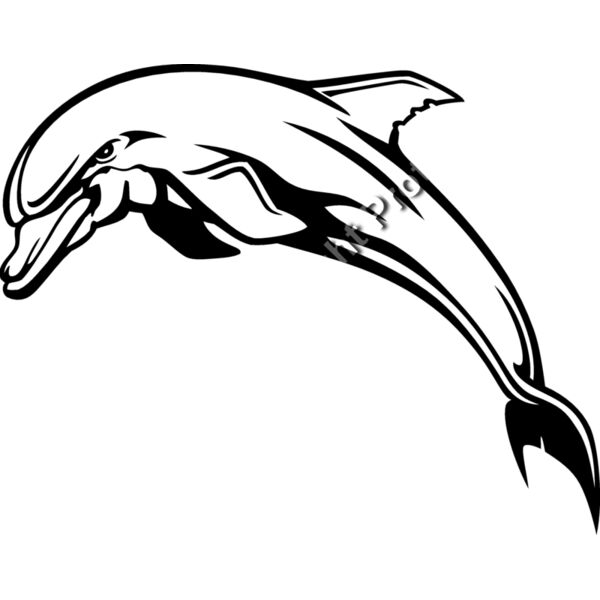 ES3dolphin03bw Thumbnail