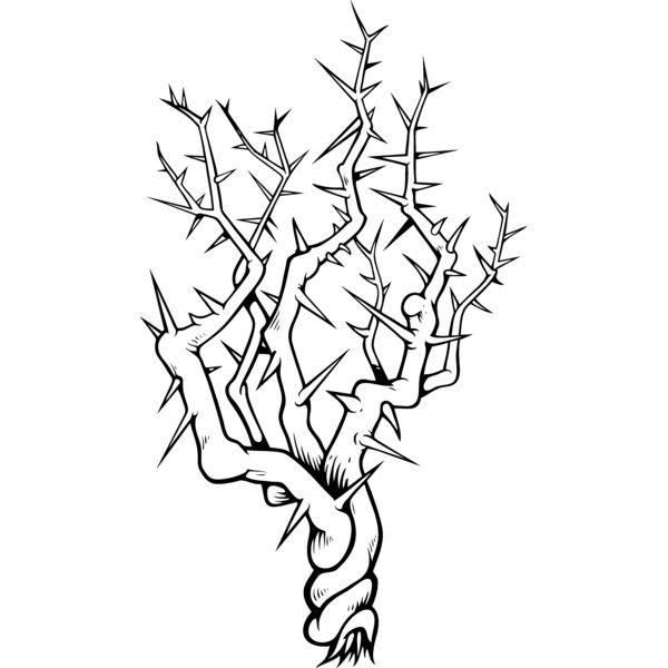 ES3thorns02bw Thumbnail