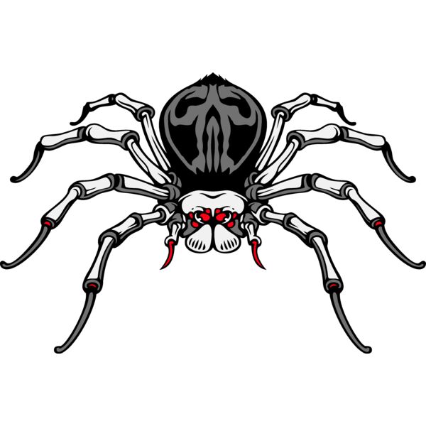 es3spider04clr Thumbnail