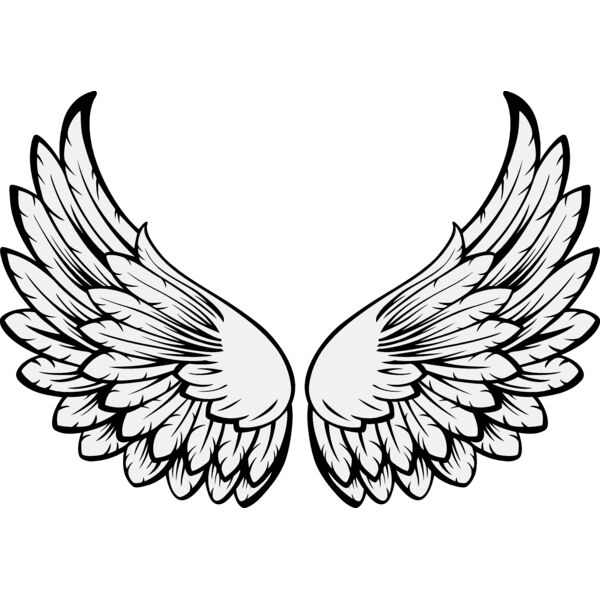 ES3wing15clr Thumbnail