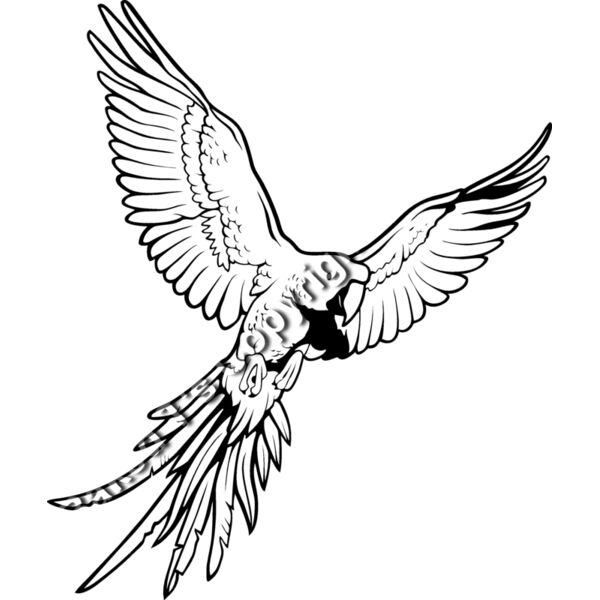 ES3parrot01bw Thumbnail