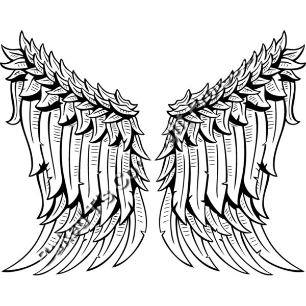 ES3wing01BW Thumbnail