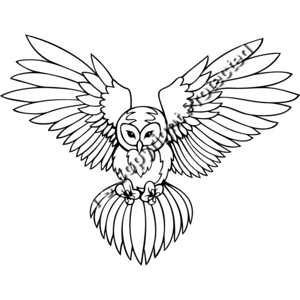 es3owl03bw Thumbnail