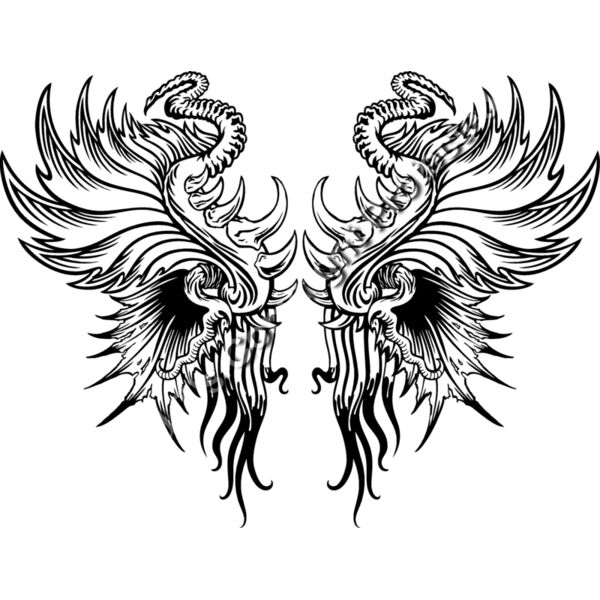 ES3wing13bw Thumbnail