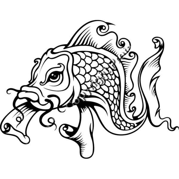 ES3asiankoi02bw Thumbnail