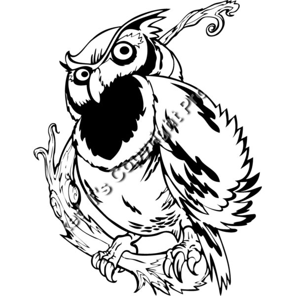 ES3owl02bw Thumbnail