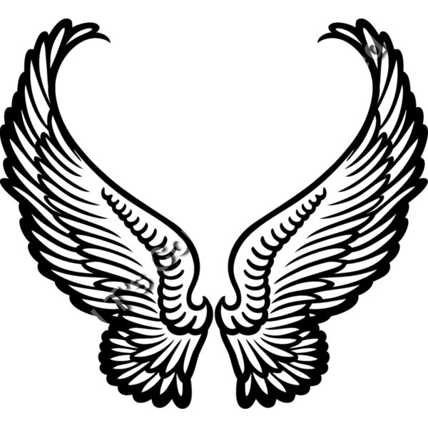 ES3wing07bw Thumbnail