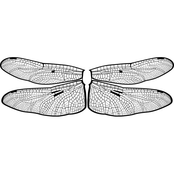 ES3wing14bw Thumbnail