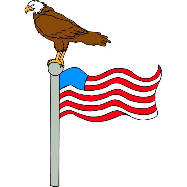 EAGLENFLAG1 Thumbnail